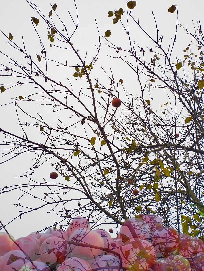 Вечно вам что-то кажется...