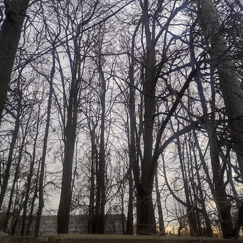 А пока проживем осеннюю графику