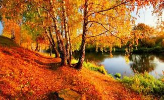 А у нас продолжается осень