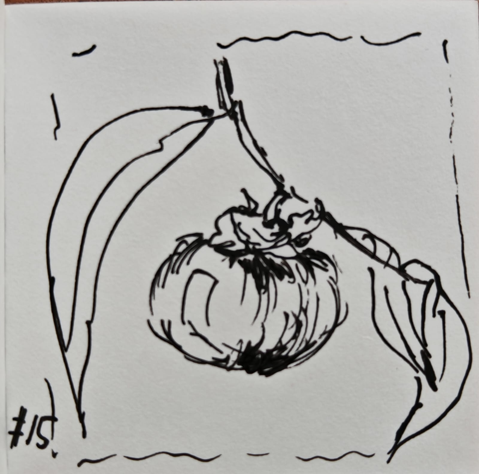 Мия и Инктобер. 15. Оборванный