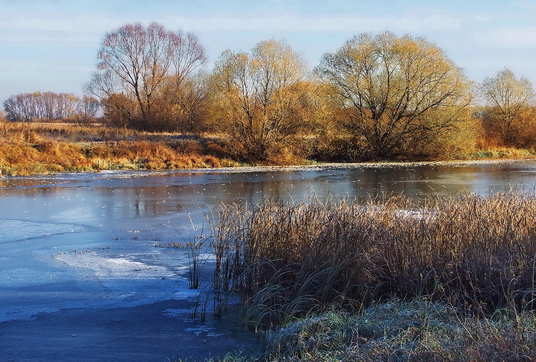 Засветилась первым льдом река