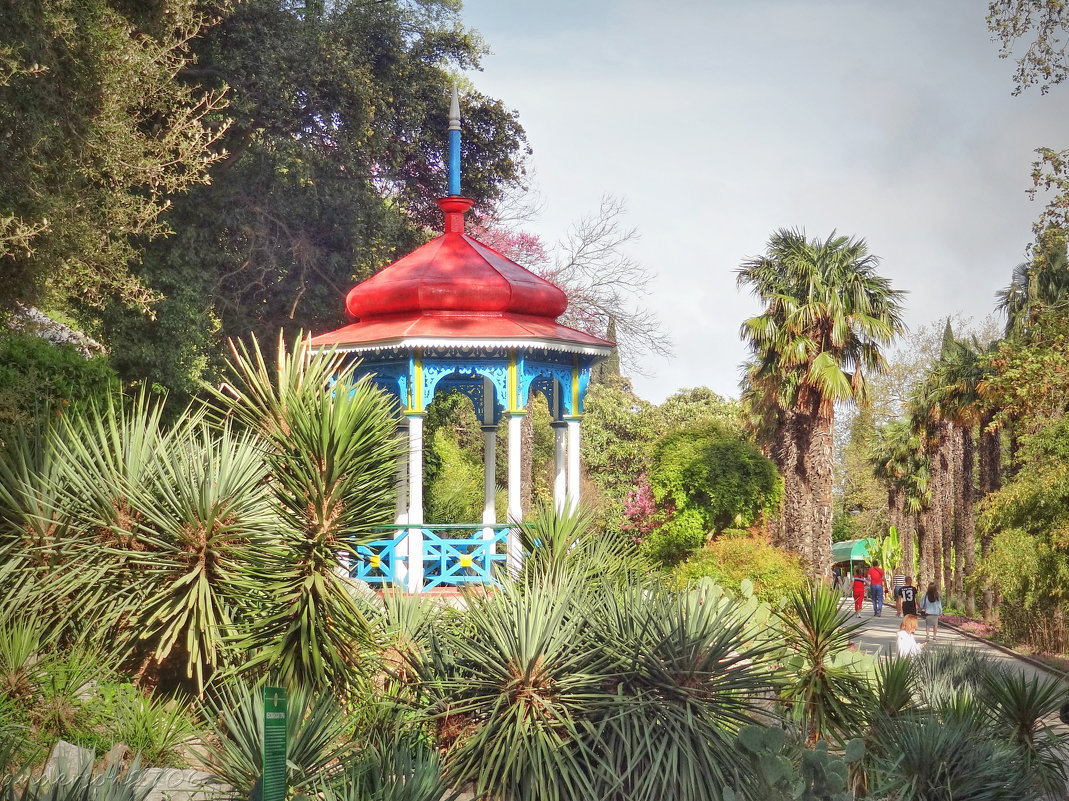 Никитский ботанический сад