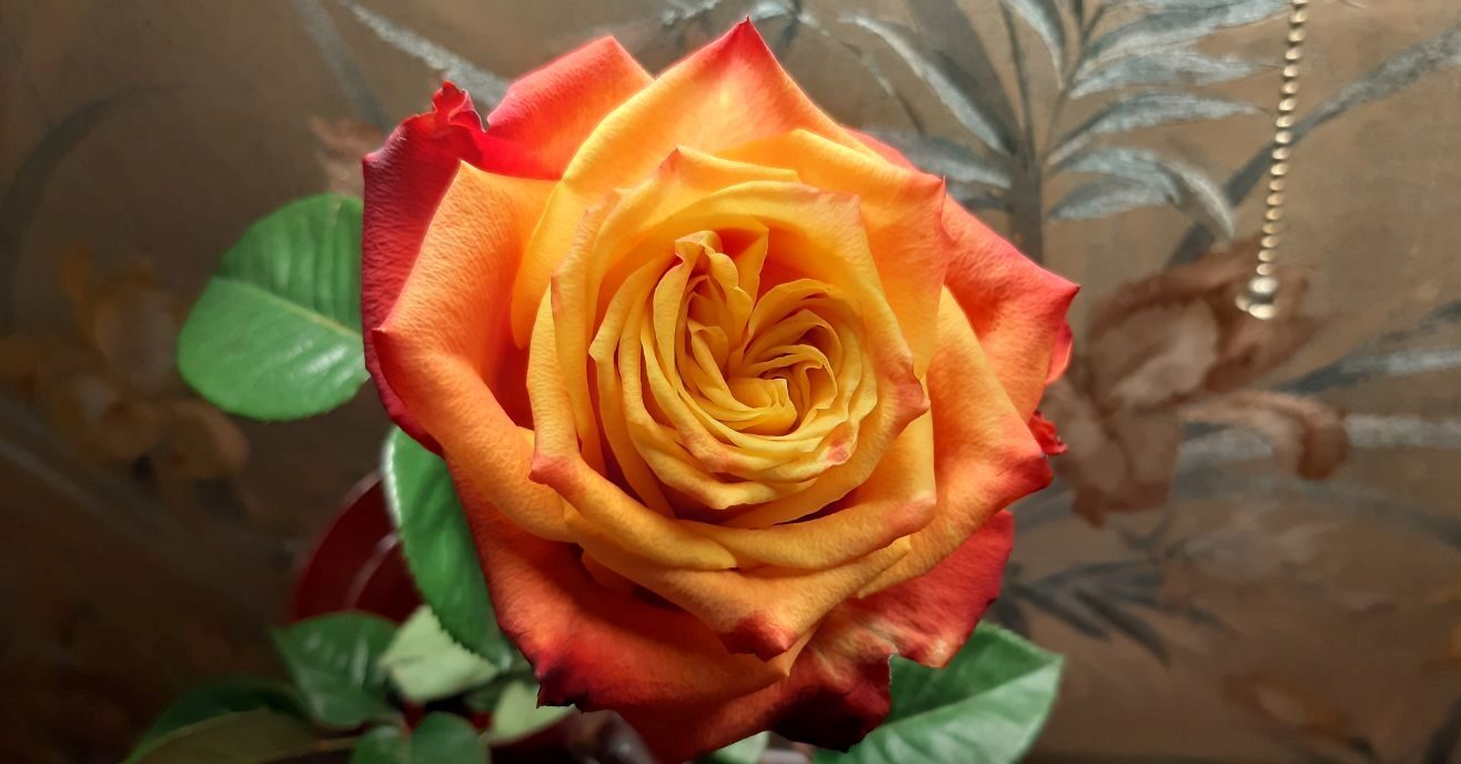 Глагол склоняя укрощаться