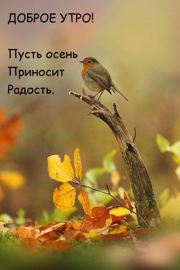 Вот такая прелюдия