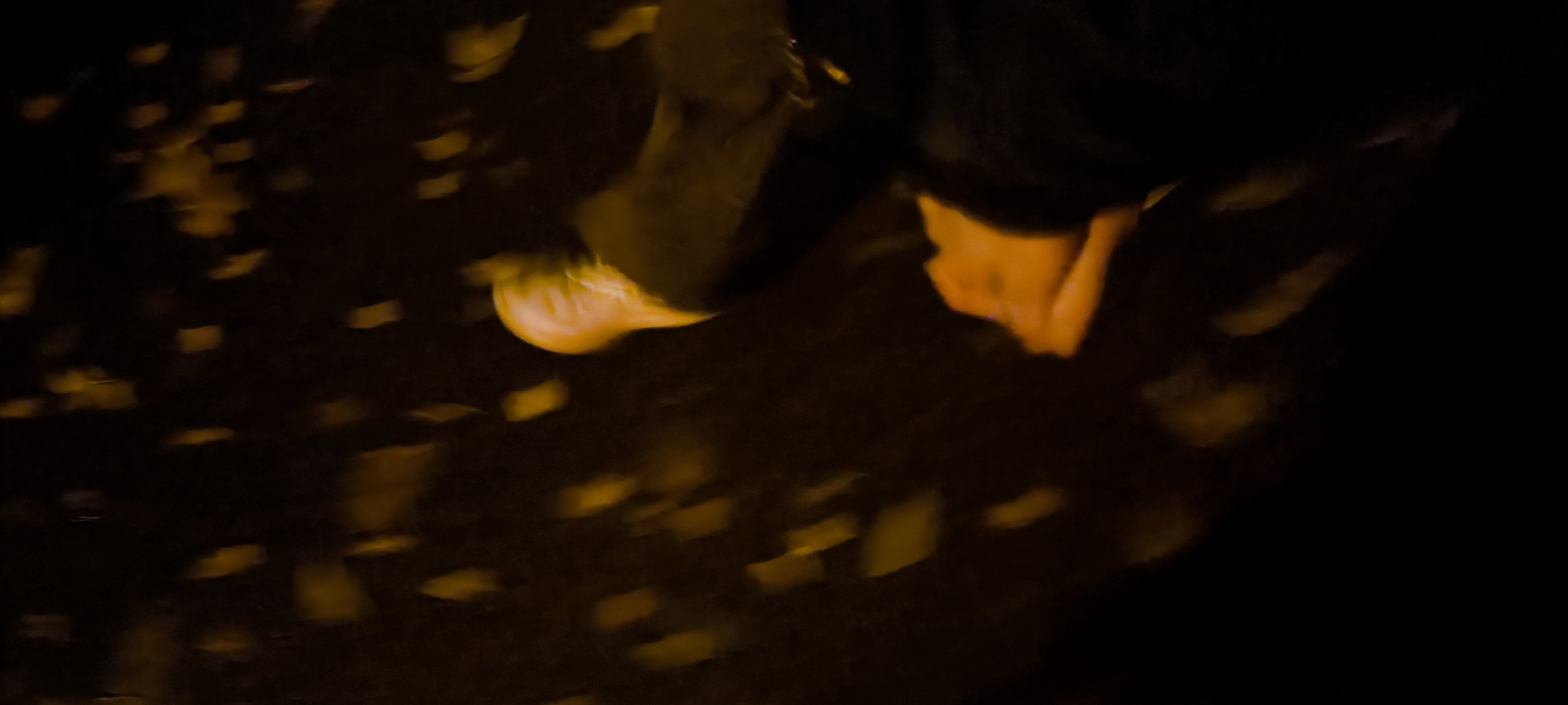 Ты знаешь, как пахнут тюльпаны