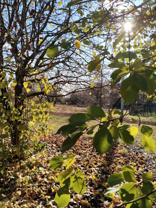 Дэвид Юм и осень