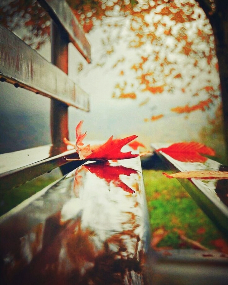 Осенний мотив