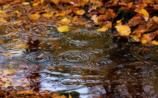 Дождик плачет всё прощает