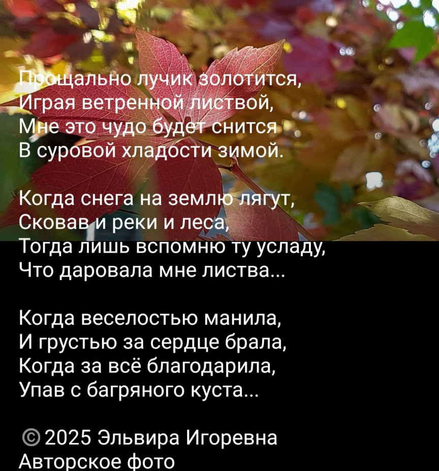 Прощально лучик золотится