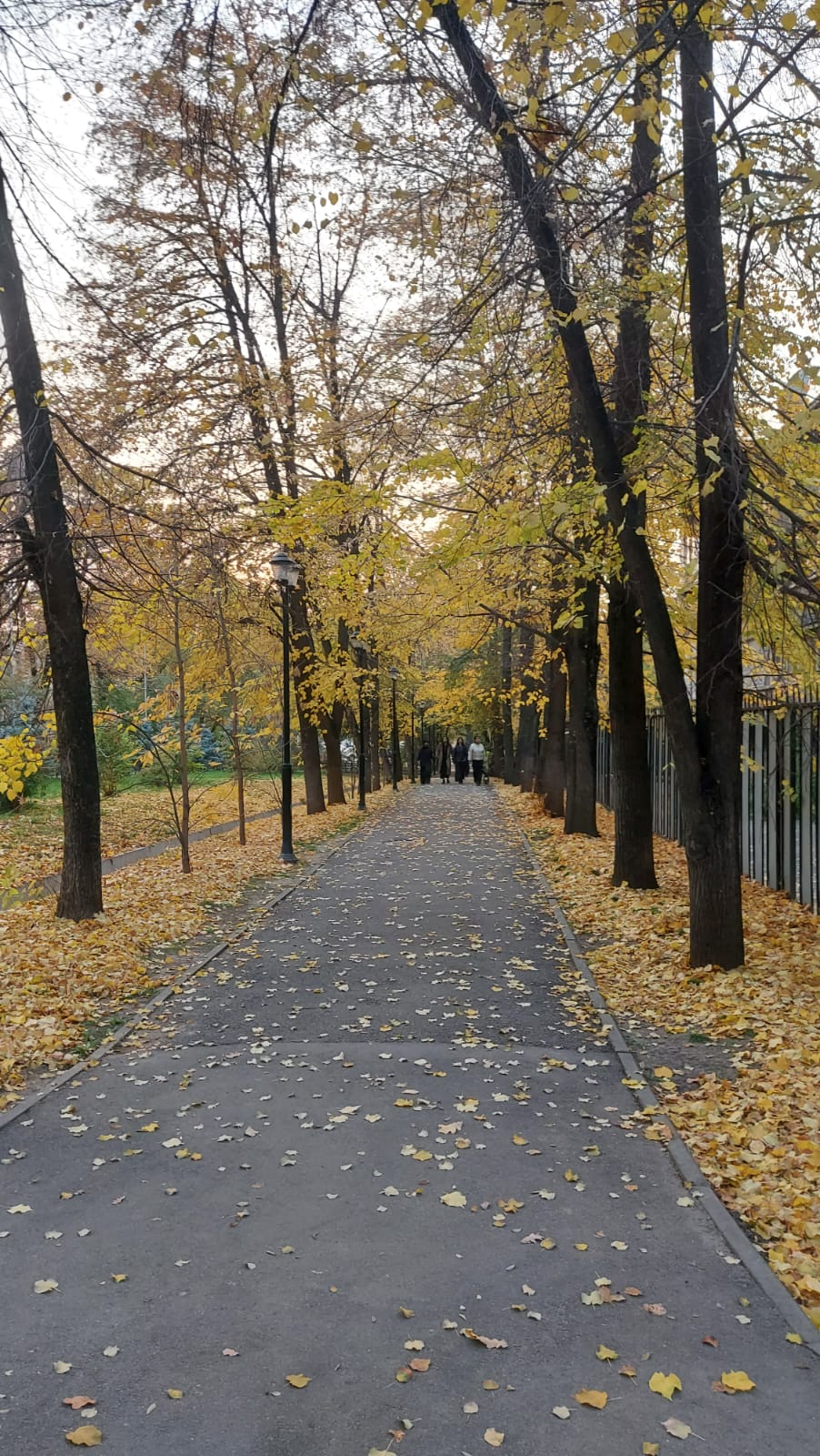 Душа в пути, туда, где свет
