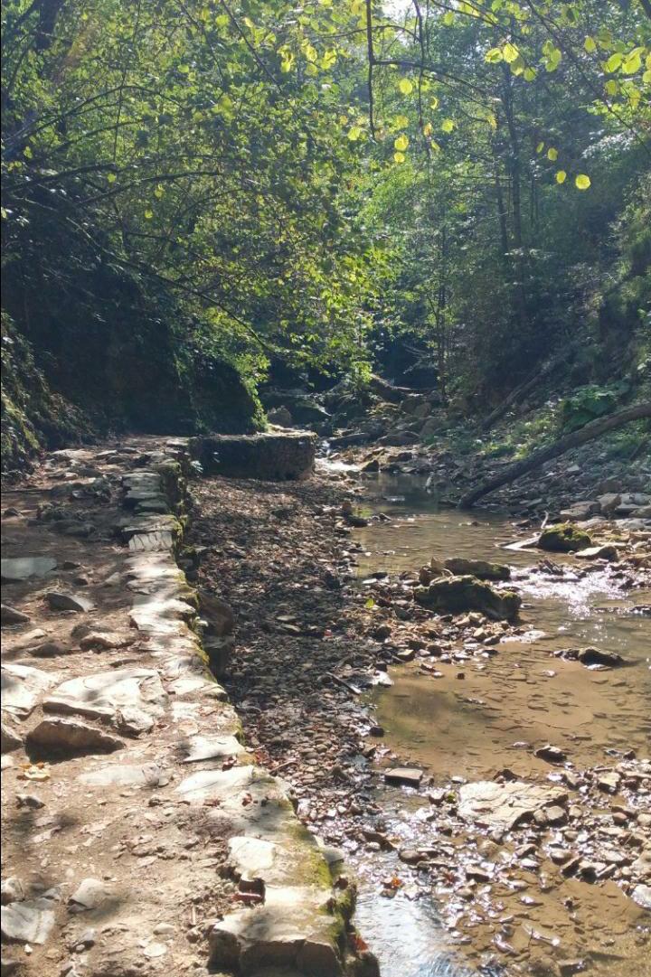 Как жаль то время...