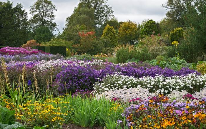Павлина краше и не встретишь...