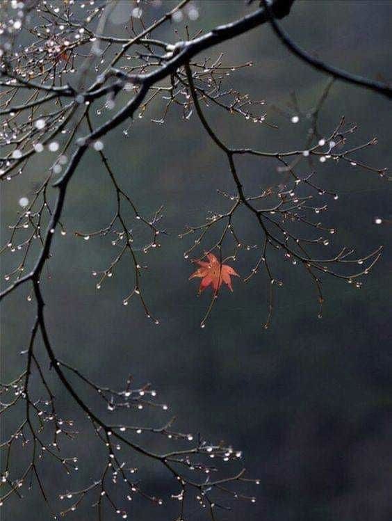 Миновала пора золотая