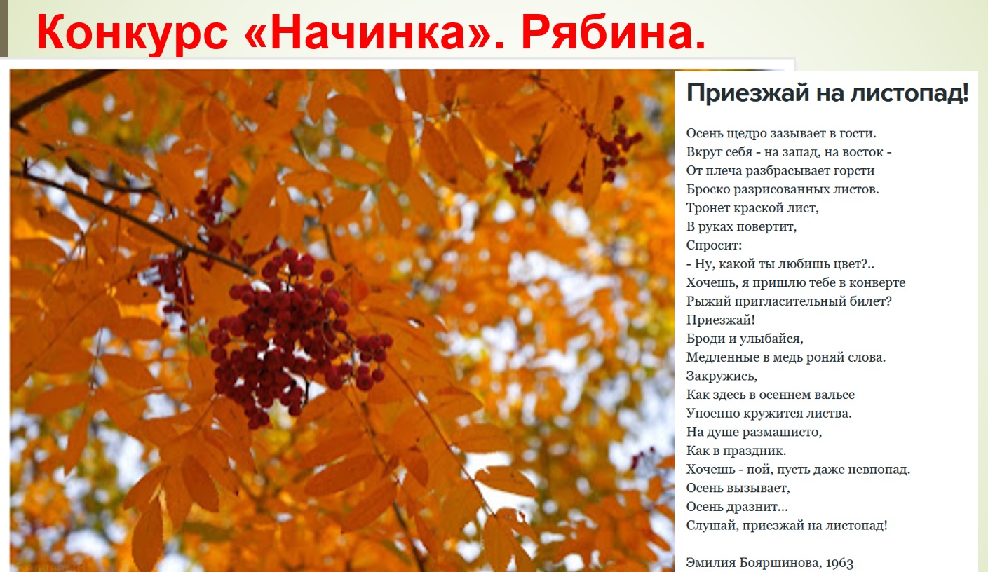 Голосование Начинка. Рябина