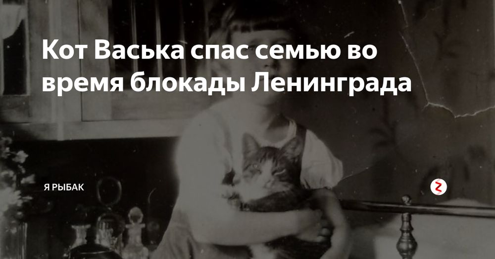 Кормилец Васька