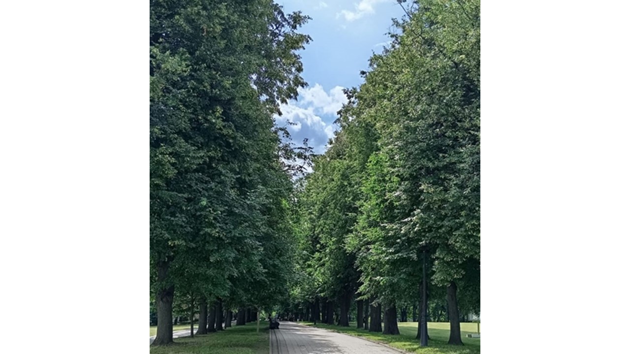 Доброе дело