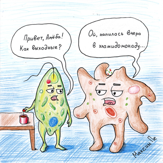 Амёбам...