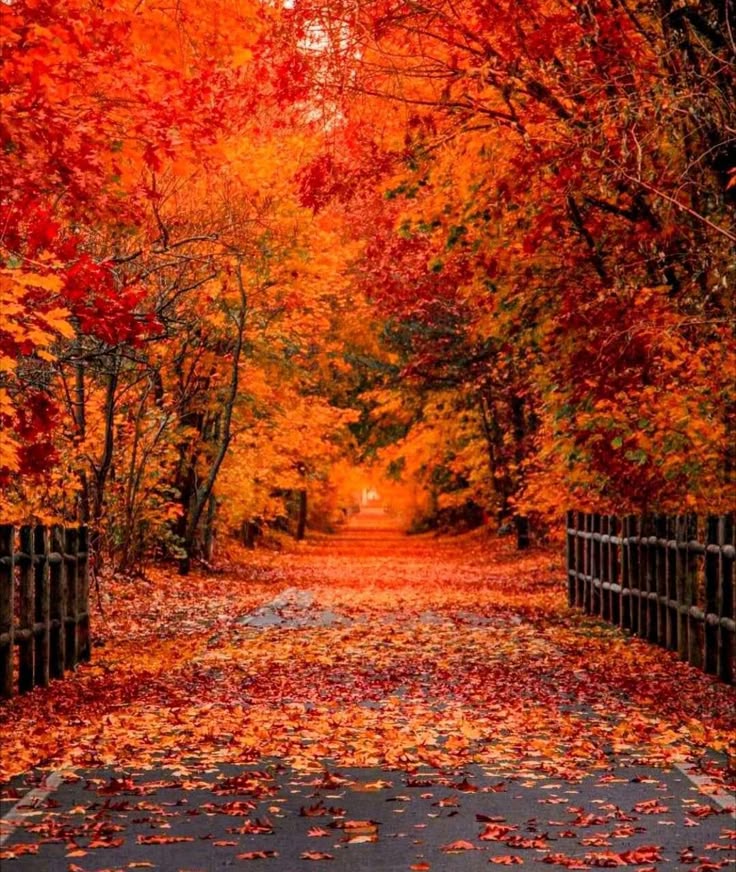 Царица осень -мастерица