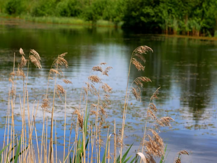 Природа-лучший художник