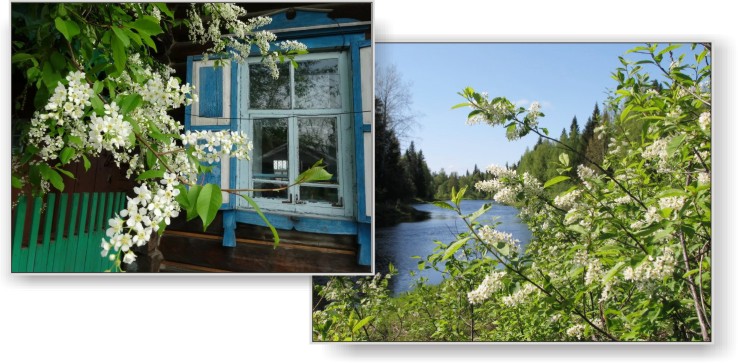 Бiля рiдного порогу