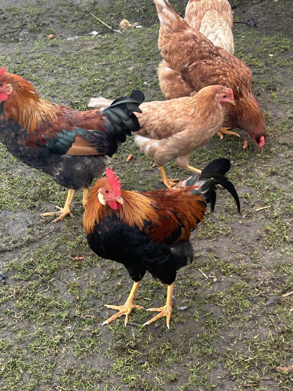 Осенняя бухгалтерия