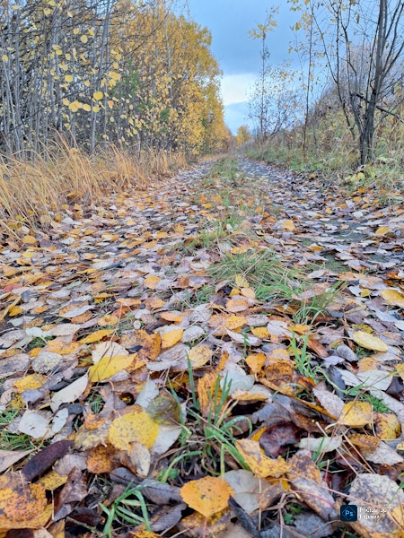 Осенняя грусть