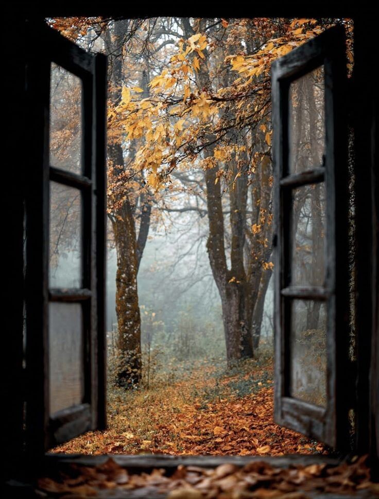 А в окна осень смотрит виновато