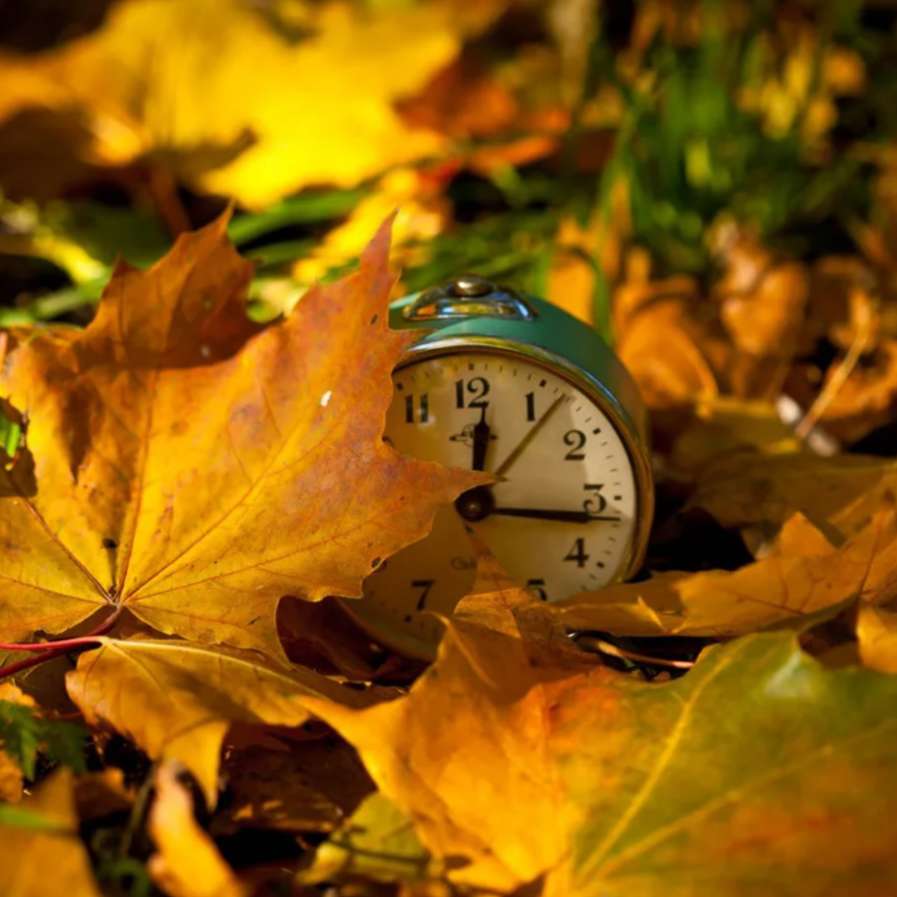 Время межсезонья