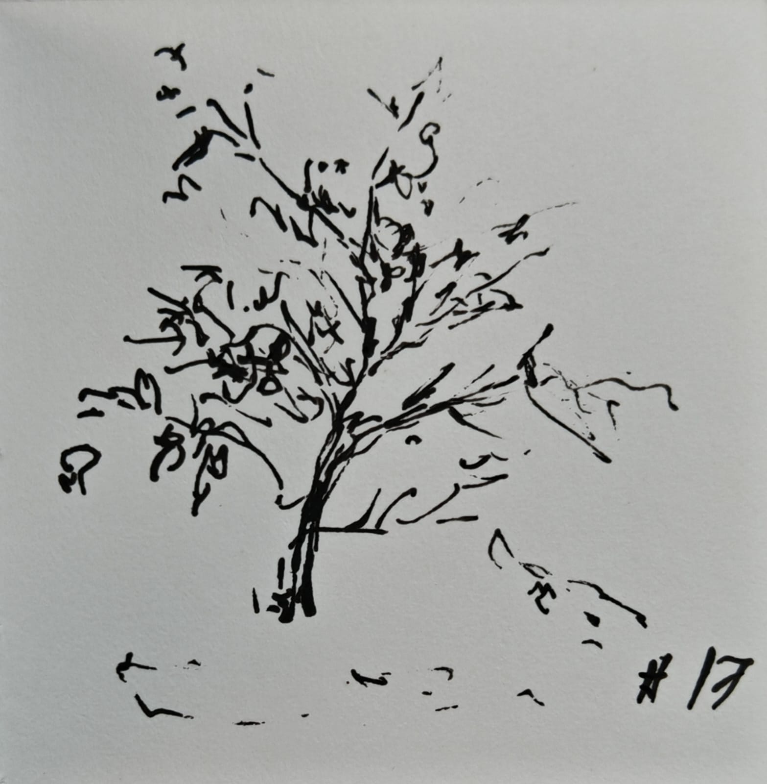 Мия и Инктобер. 17. Роскошно украшенный