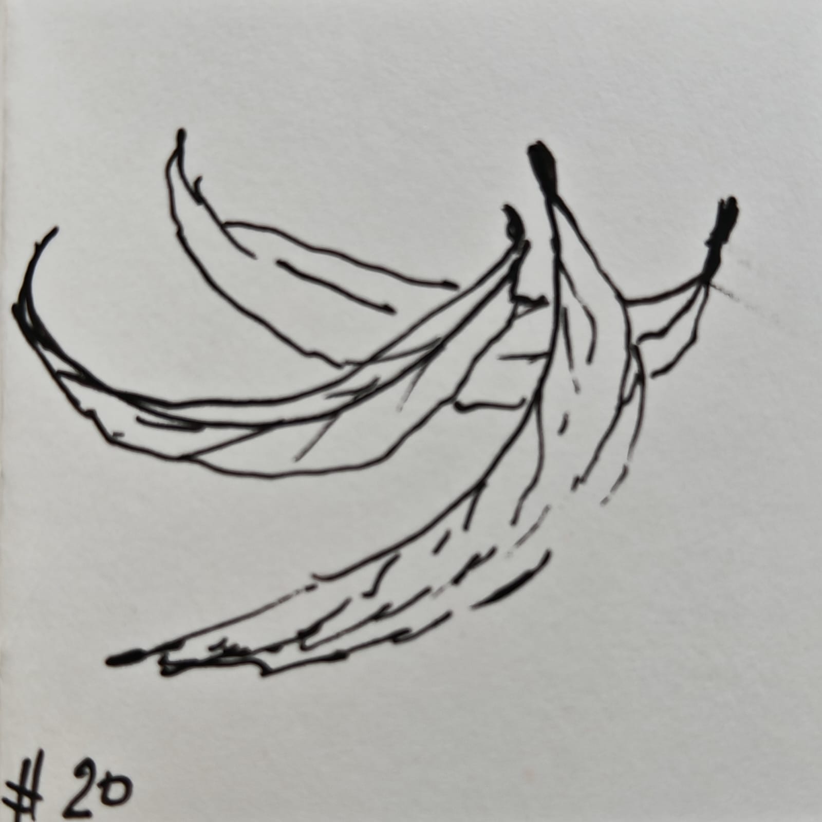 Мия и Инктобер. 20. Соперники