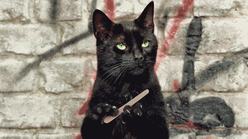 Котэ