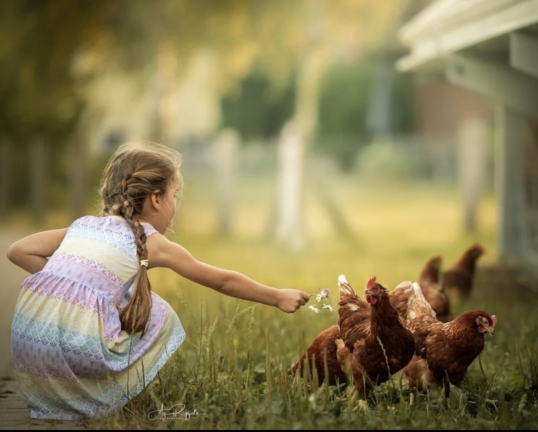 Королева двора