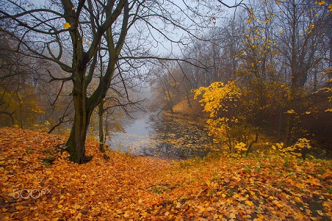 Осень в конце октября