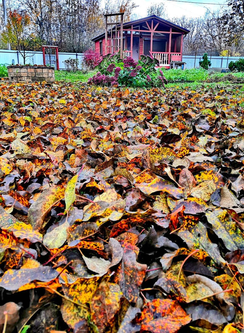 Грустно порою