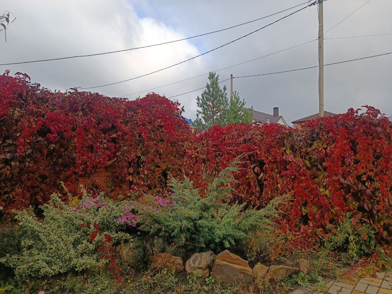 Дни осенних откровений