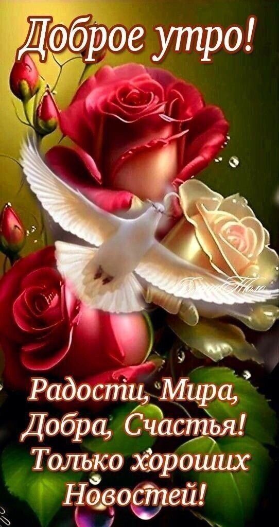 Яму роют себе сами...