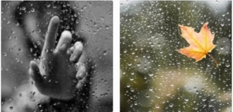 Камертон дождя