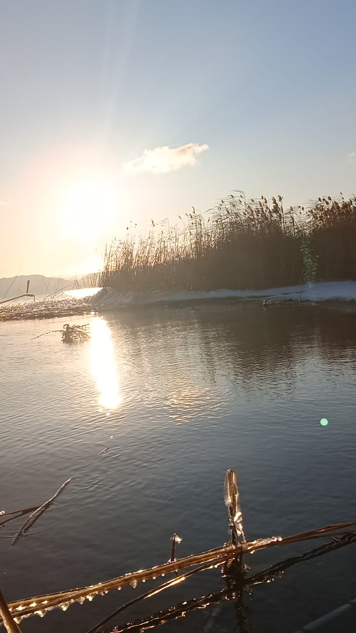 1. Приятная боль