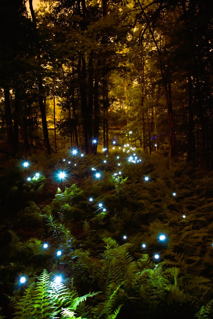 Огоньки