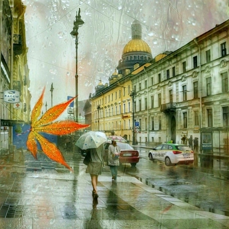 В любимый Питер