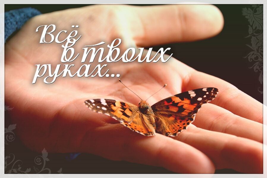 Покажись!