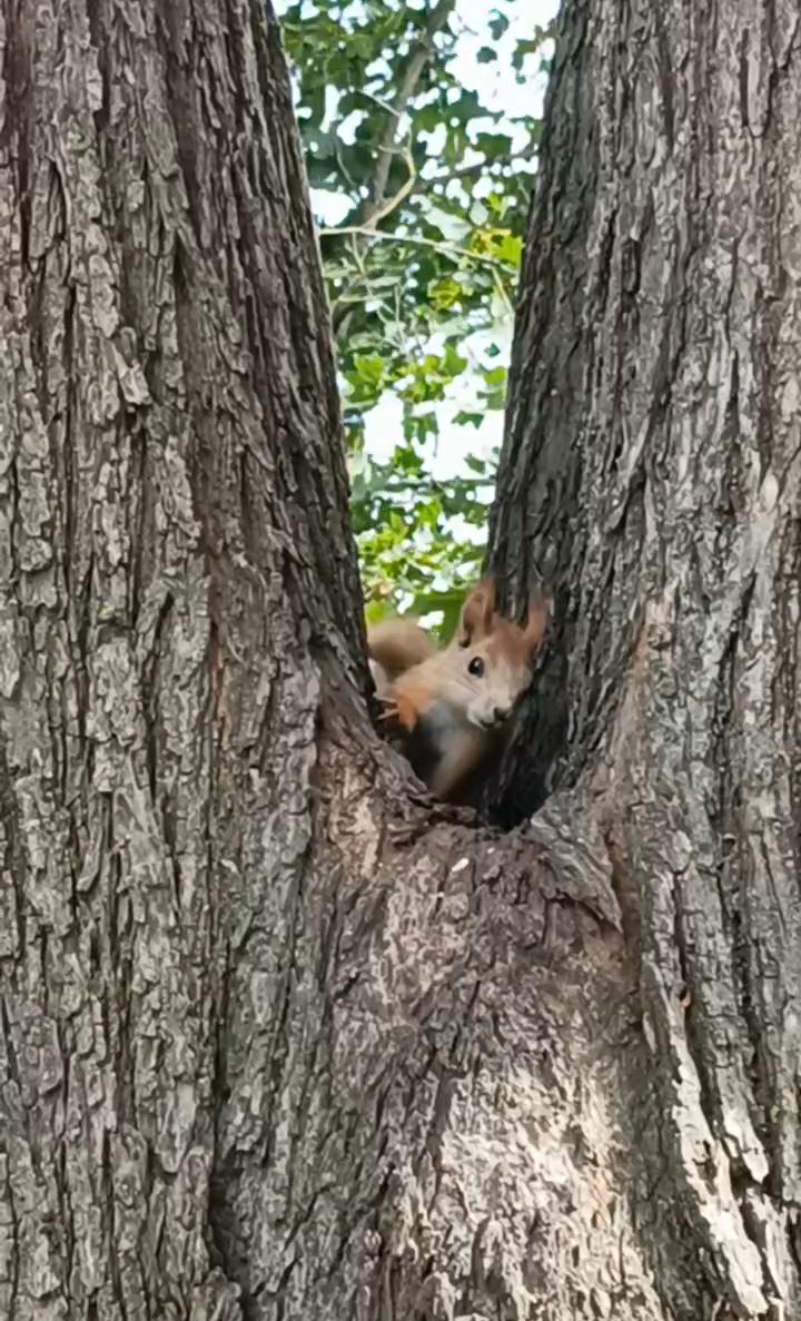 Пусть, пусть счастье живёт с нами!