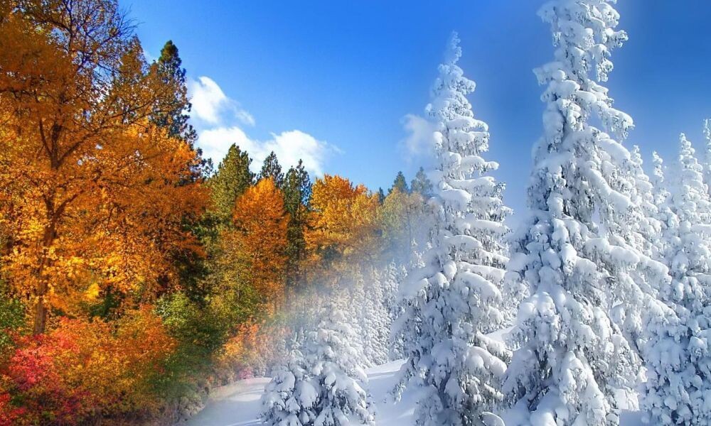 Вся жизнь - игра