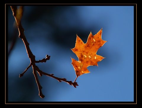 Словесный этюд 88