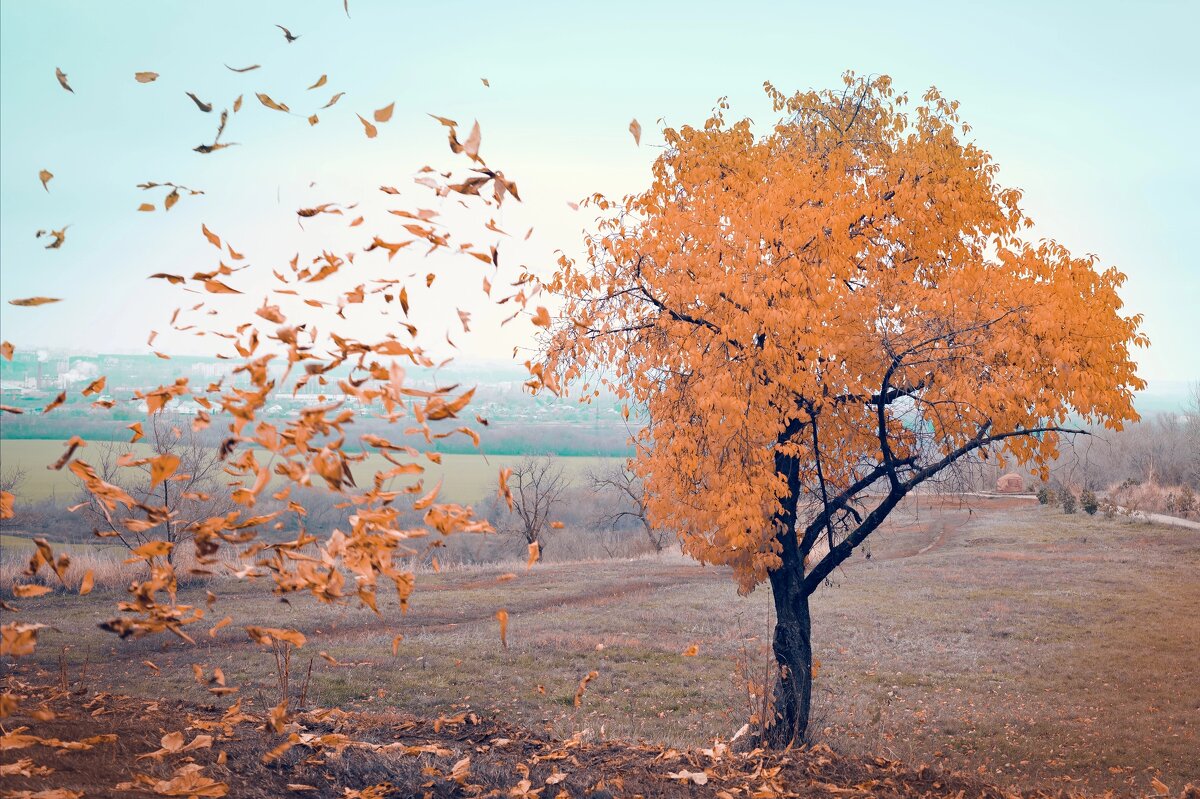 Время - Осень