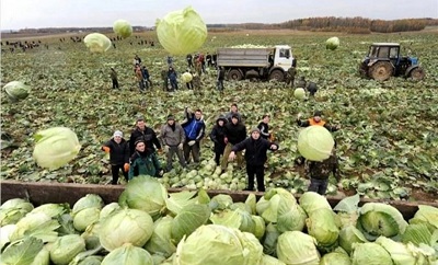 Советский хруст