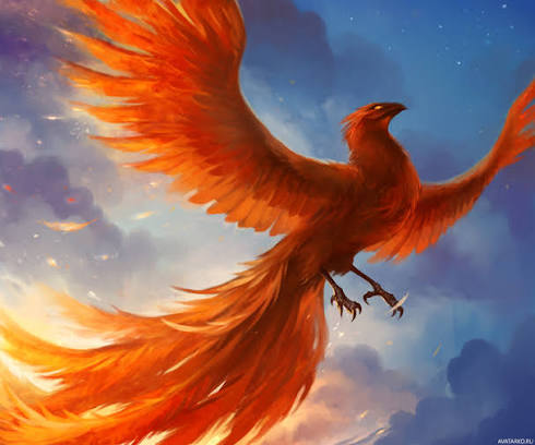 Феникс