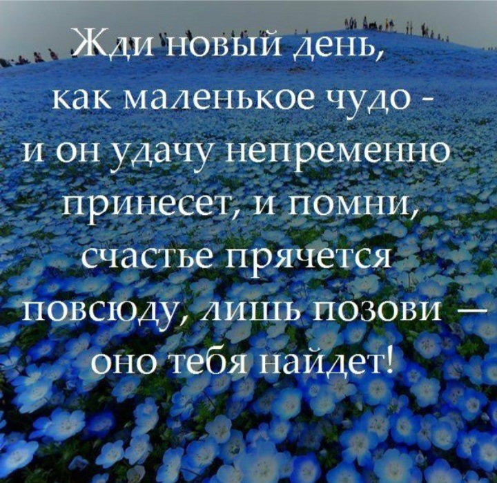 Какие чудеса нас ожидают