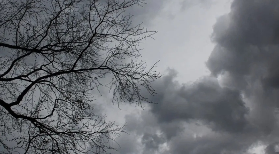 Осень двери свои распахнула