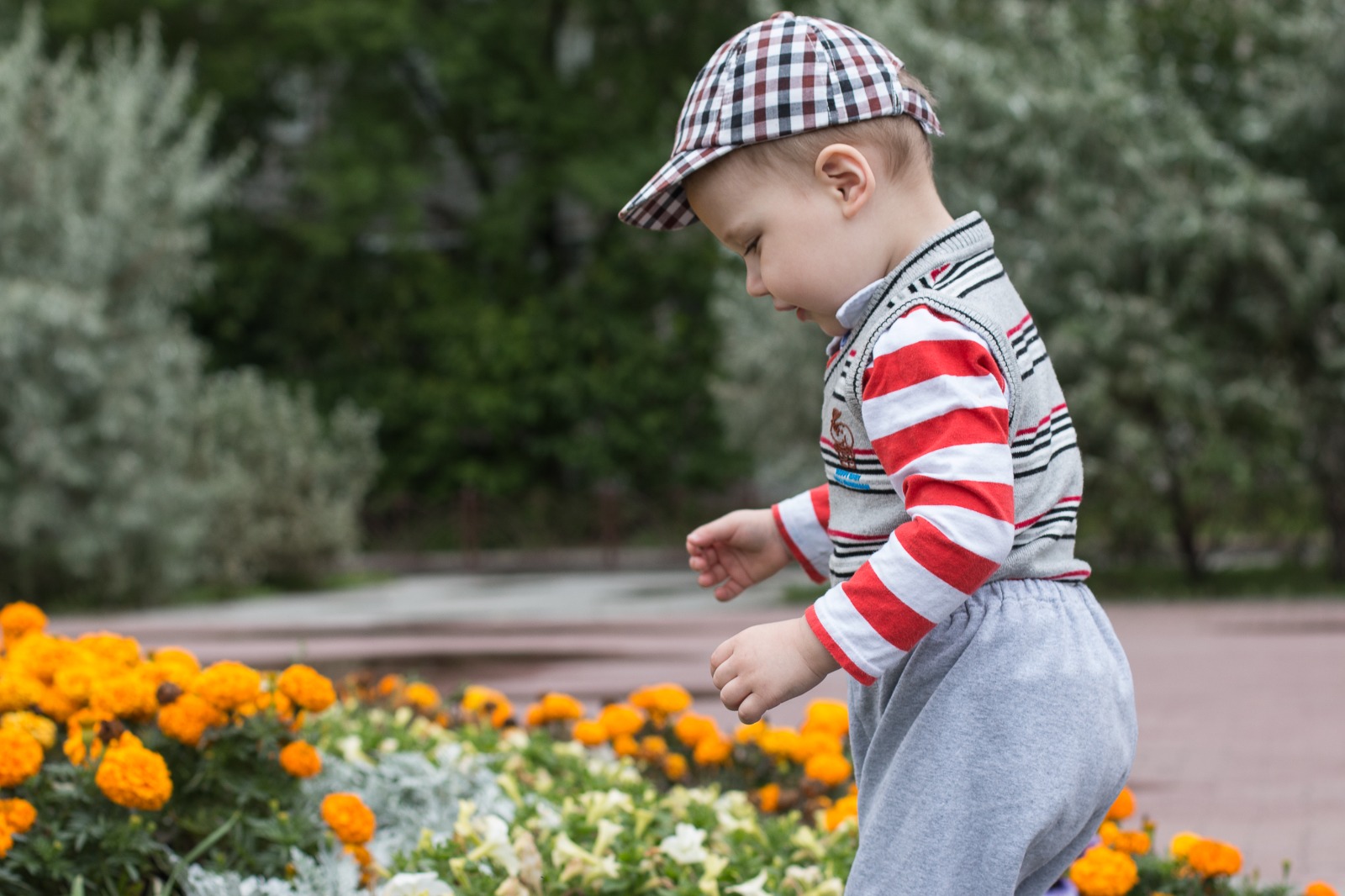 В полях цветы ещё растут